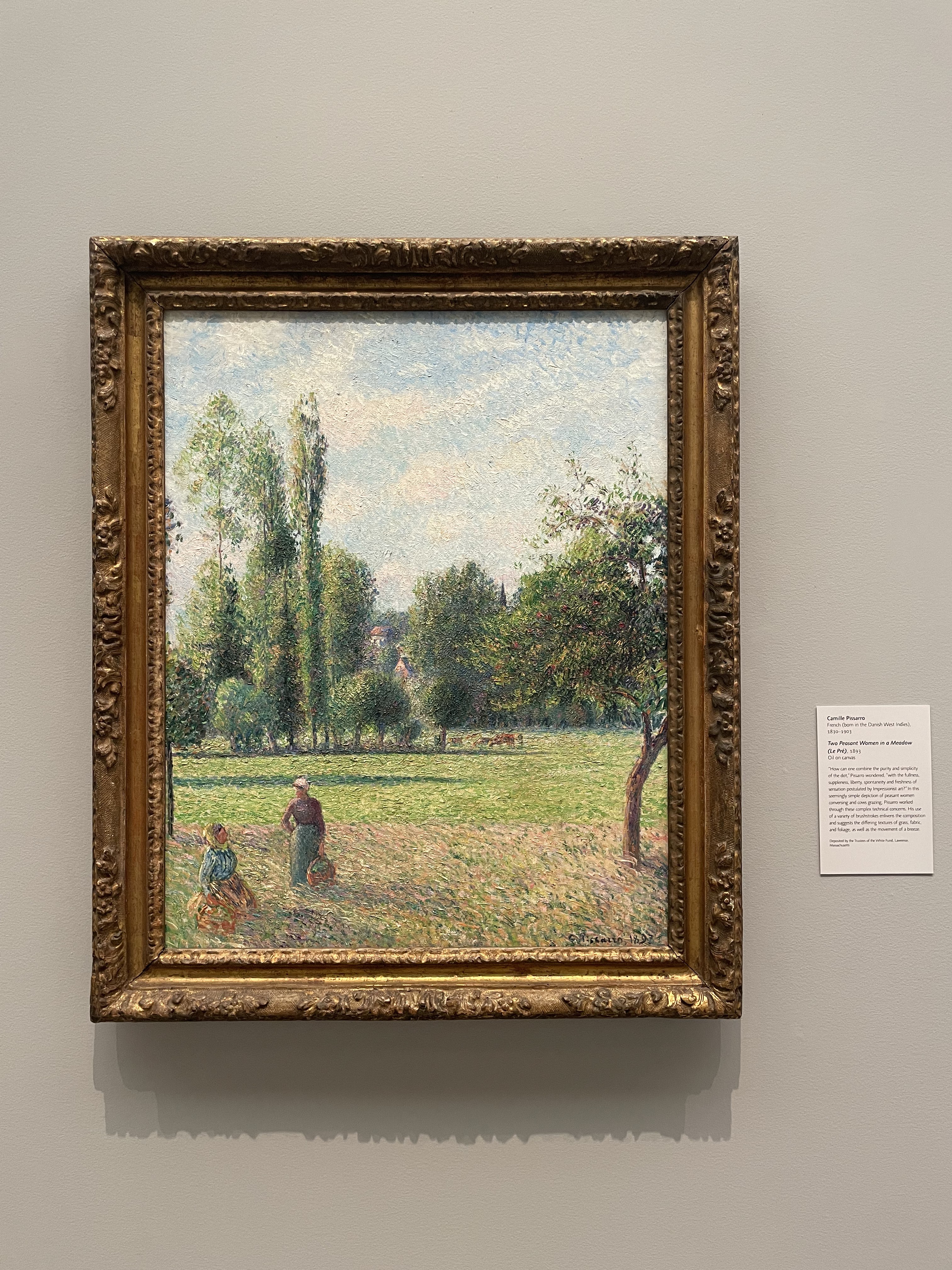 Two Peasant Women in a Meadow