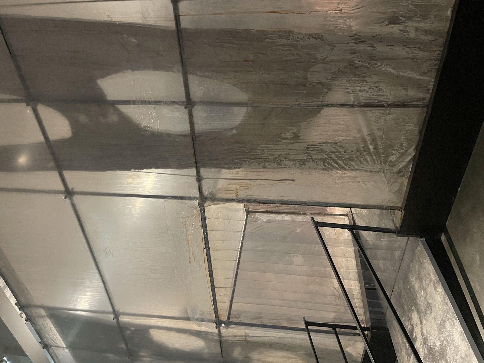 Mire Lee: Black Sun (New Museum)