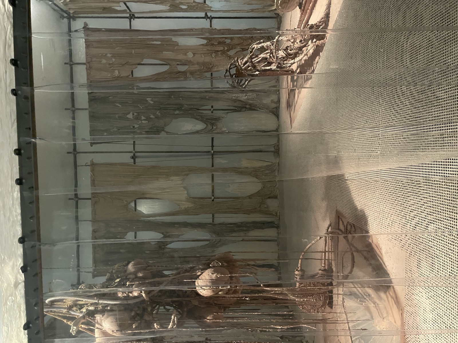 Mire Lee: Black Sun (New Museum)