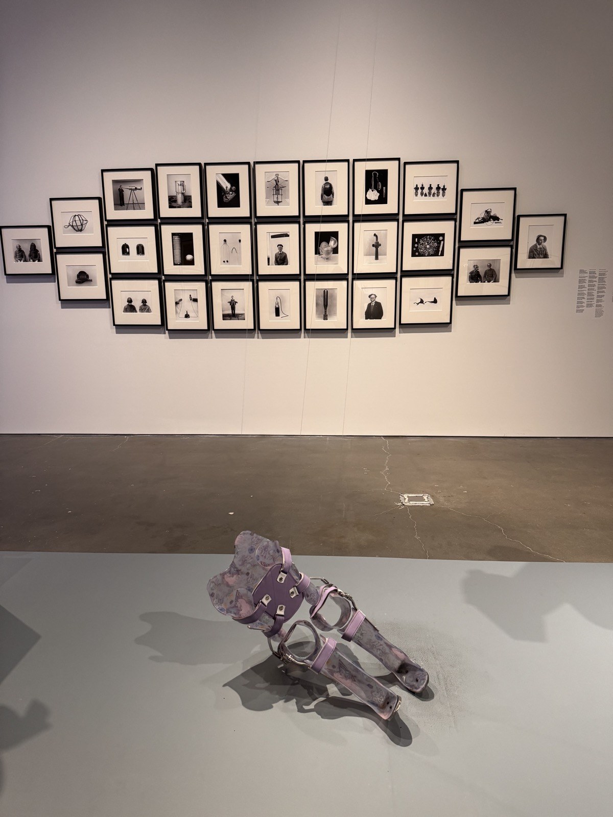 New Humans: Memories of the Future (New Museum)