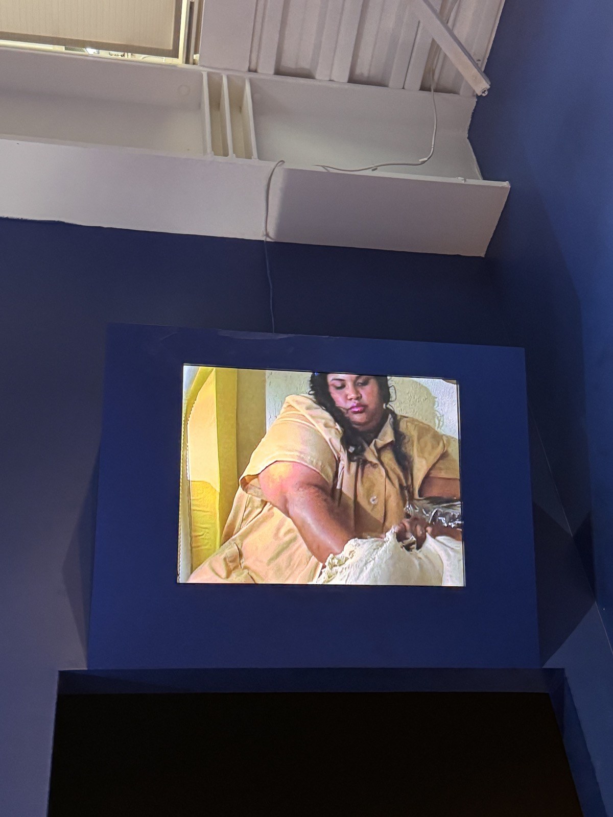New Humans: Memories of the Future (New Museum)