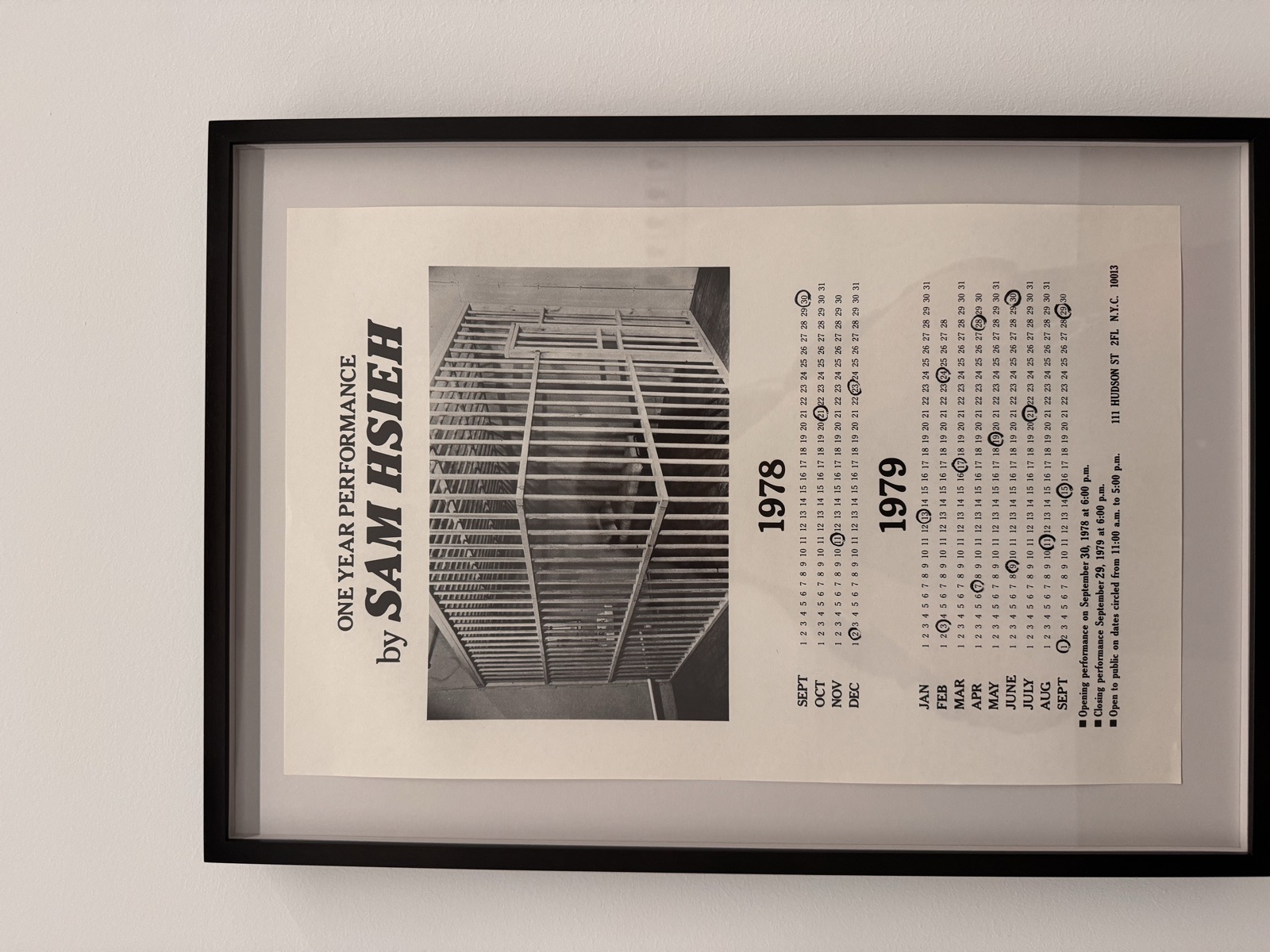 One Year Performance 1978–1979 (Cage Piece), Tehching Hsieh