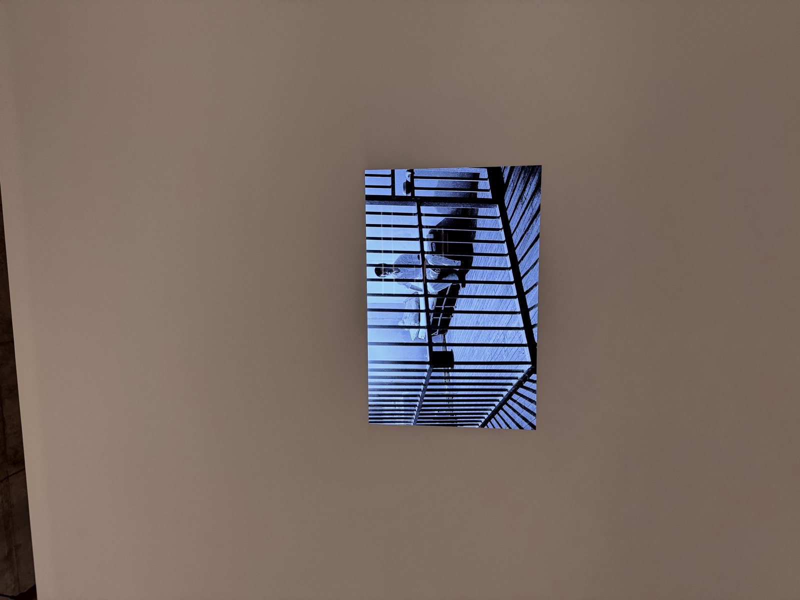 One Year Performance 1978–1979 (Cage Piece), Tehching Hsieh