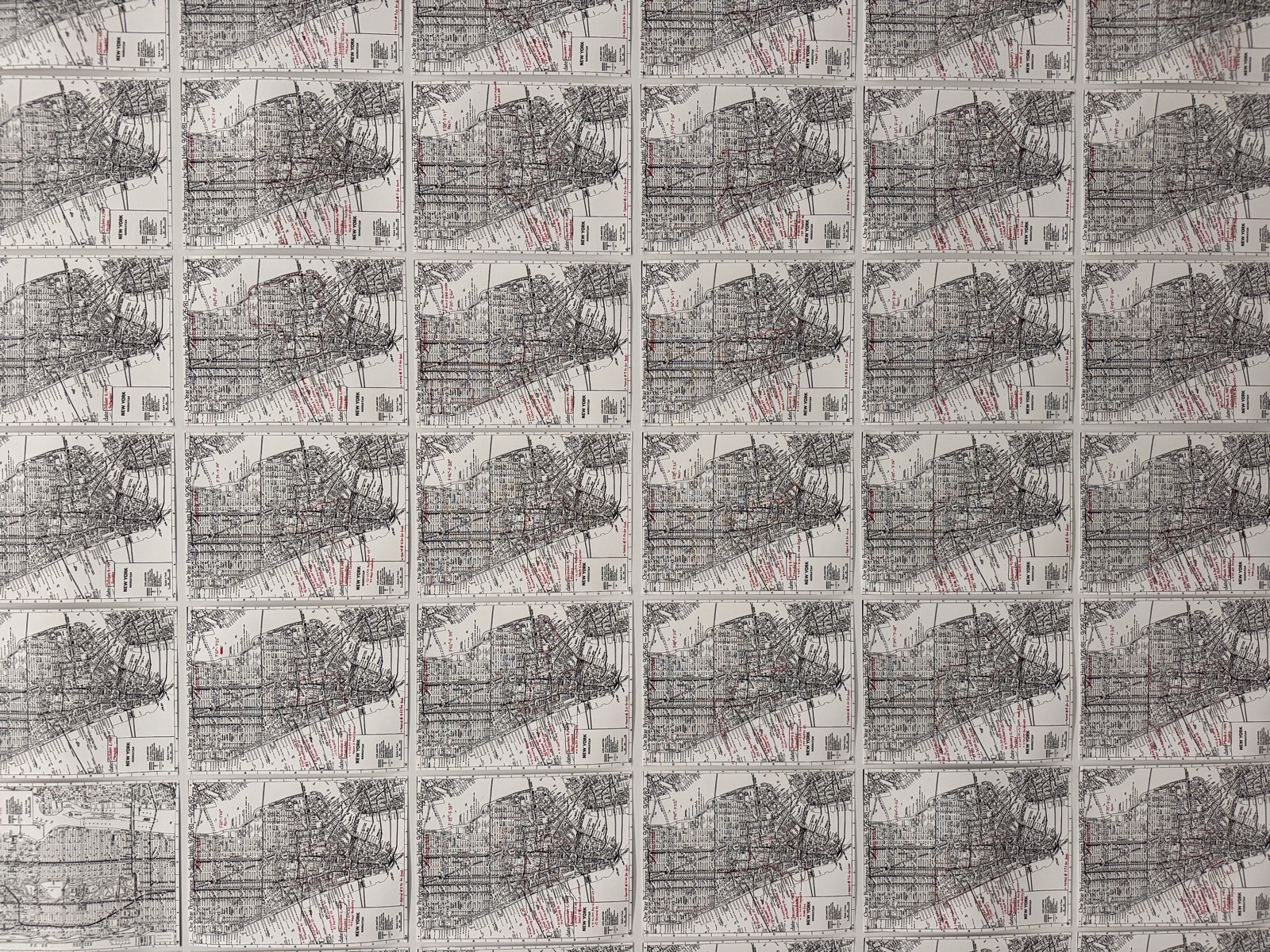 One Year Performance 1981–1982 (Outdoor Piece), Tehching Hsieh