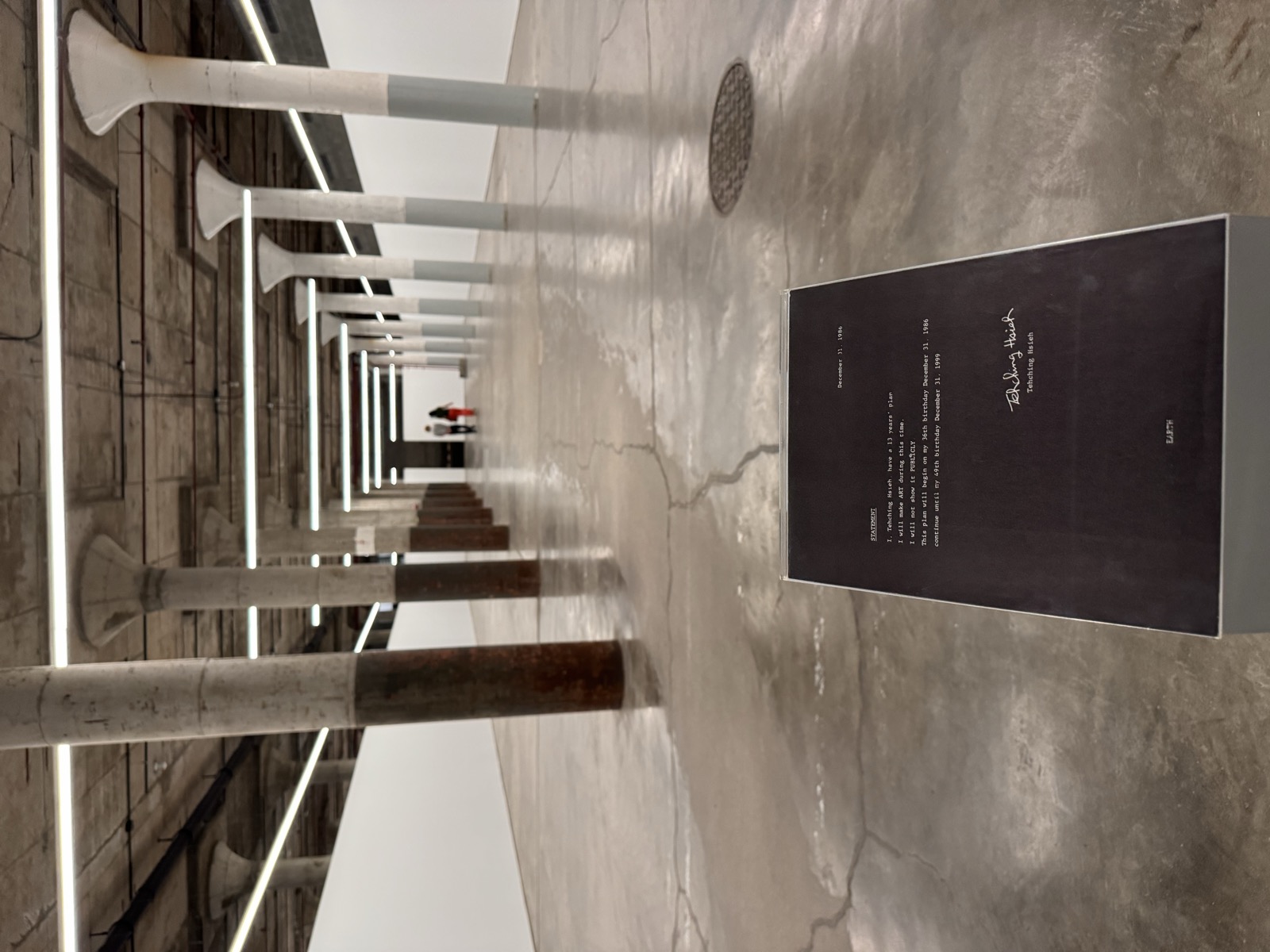 Tehching Hsieh 1986–1999 (Thirteen Year Plan)
