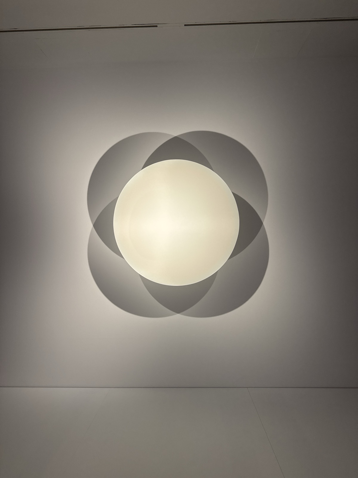 Untitled, Robert Irwin